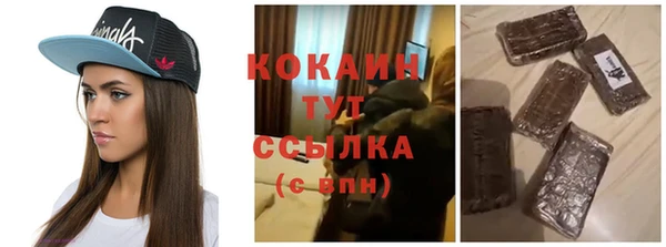 гашик Бежецк