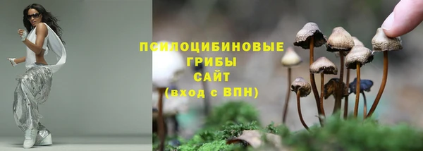 кокаин перу Михайлов