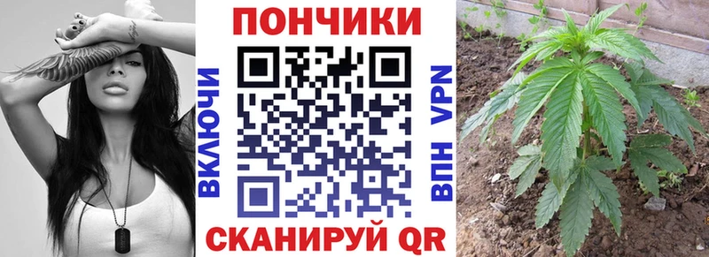 Конопля марихуана  Жердевка 